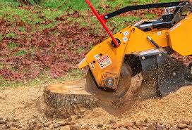 Best Seasonal Cleanup (Spring/Fall)  in Ellwood City, PA