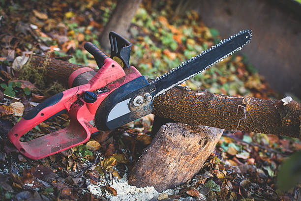 Mulching Services in Ellwood City, PA